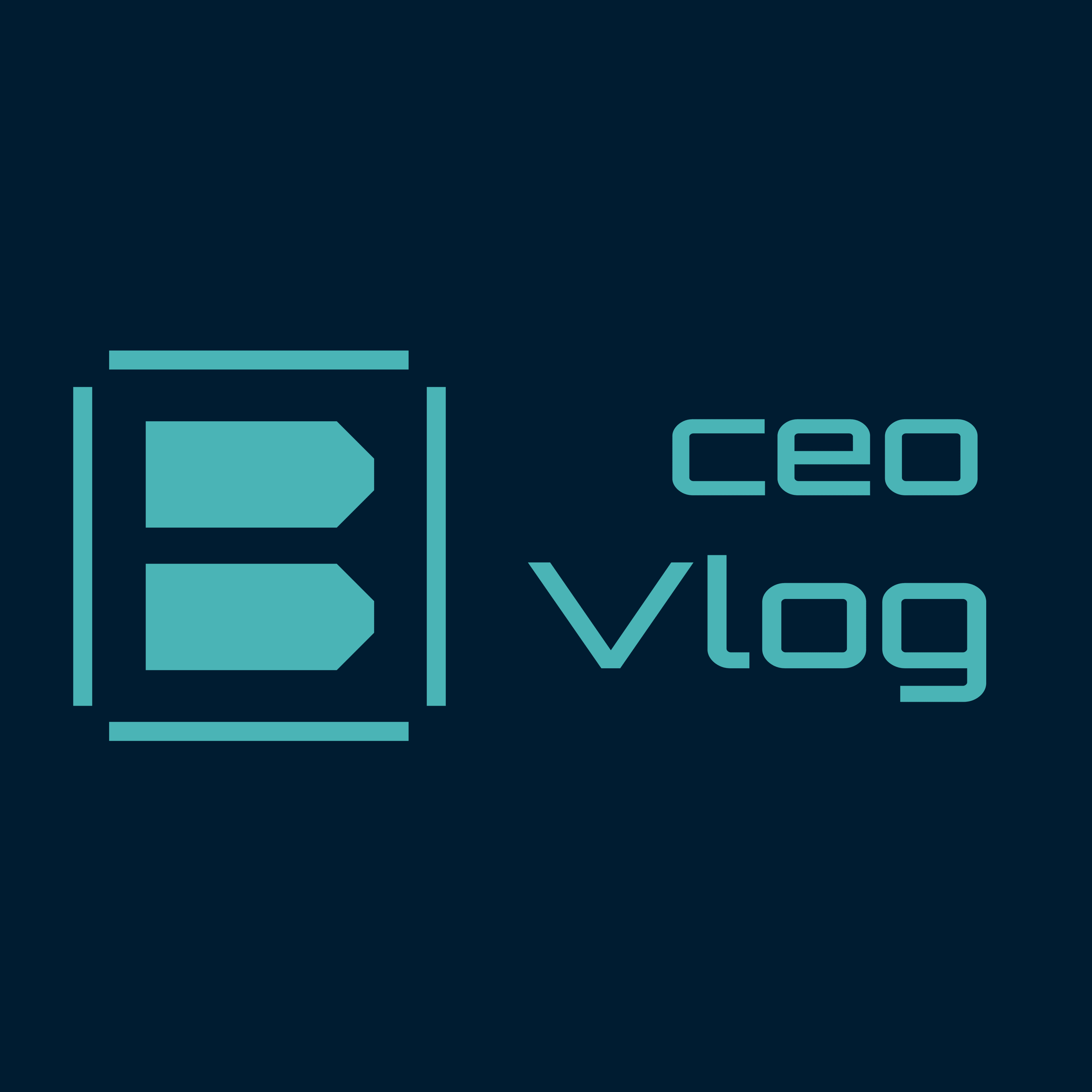 ceo vlog